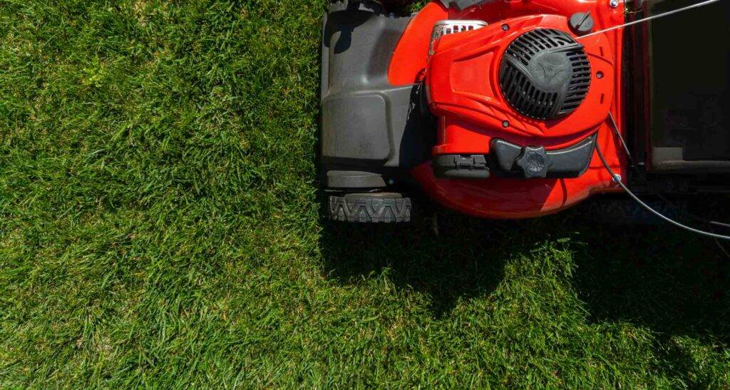 red lawnmower on green lawn