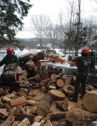 2 tree workers wearing helmets stand within a pile of freshly cut wood while using machinery to disassemble a tree