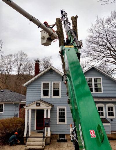 crane arm safely removing a tree