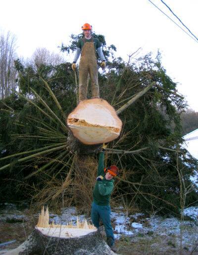 certified arborists having fun on the job