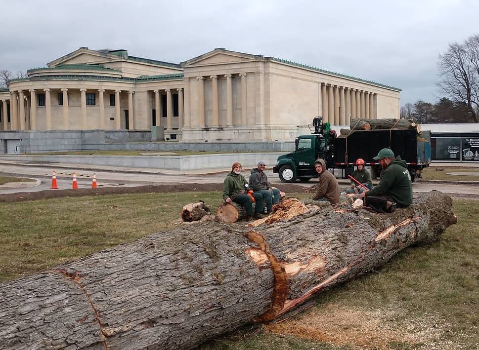 The Buffalo AKG Art Museum Trusts Bradley Trees for their professional tree care services! 