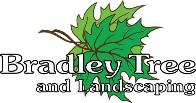 bradley tree logo