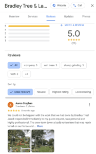 Buffalo NY arborists reviews, picture of Google 5 star reviews 