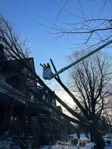 Bradley Tree Arborist winter weather damage in Buffalo NY