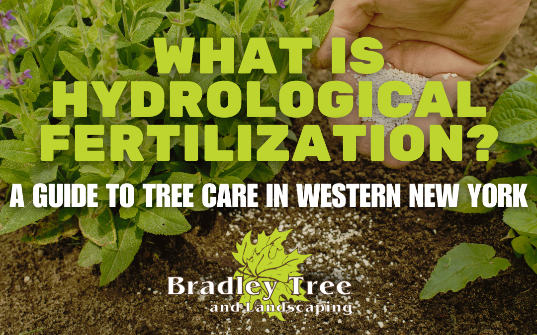 The Complete Guide to Hydrological Fertilization